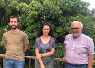 Bloco de Esquerda – Aurora Ribeiro defende criação de Plano Estratégico Municipal para o Turismo no Faial