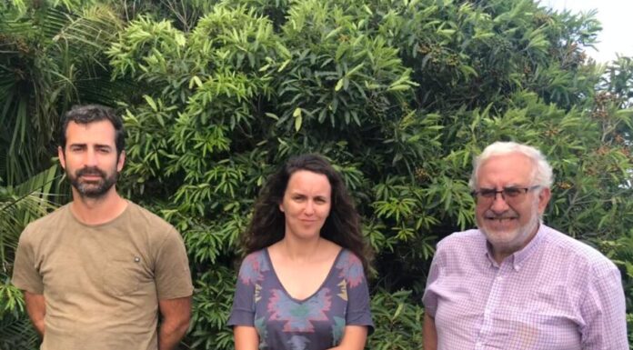 Bloco de Esquerda – Aurora Ribeiro defende criação de Plano Estratégico Municipal para o Turismo no Faial