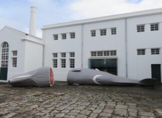 Gestão da antiga Fábrica da Baleia do Boqueirão passa para a Região DR