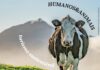 Concurso de Fotografia procura Humanos e Animais em montanhas DR