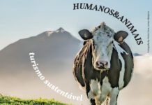 Concurso de Fotografia procura Humanos e Animais em montanhas DR