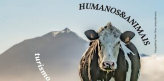 Concurso de Fotografia procura Humanos e Animais em montanhas DR