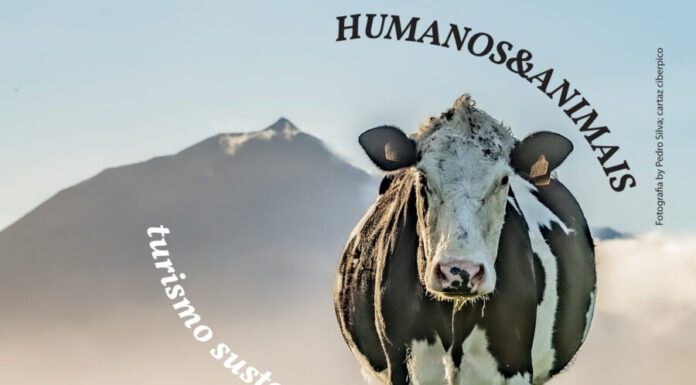 Concurso de Fotografia procura Humanos e Animais em montanhas DR