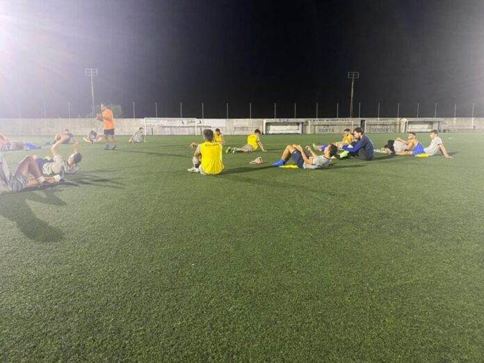 Treino FCF