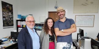 BE – Aurora Ribeiro propõe criação de um gabinete municipal de apoio à empresa