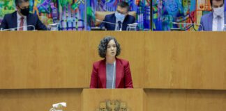 Sofia Ribeiro, SR da Educação – “De pouco serve implementar medidas de combate ao insucesso quando ele já está instalado”