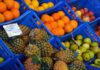 “Fórum Açores Bio 21” no Faial