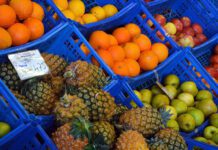 “Fórum Açores Bio 21” no Faial