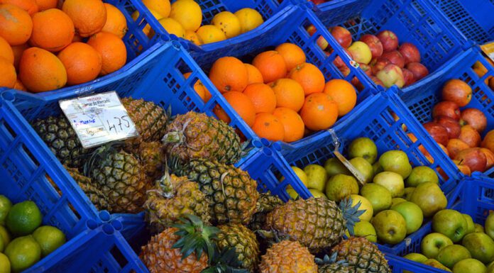 “Fórum Açores Bio 21” no Faial