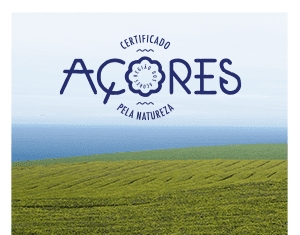 Campanha digital “Açores Seguro por Natureza” premiada em Espanha