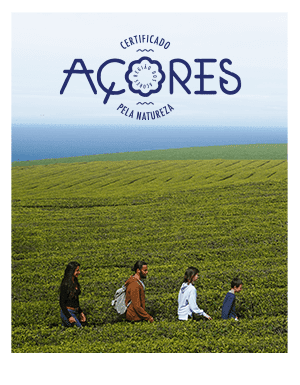 Campanha digital “Açores Seguro por Natureza” premiada em Espanha
