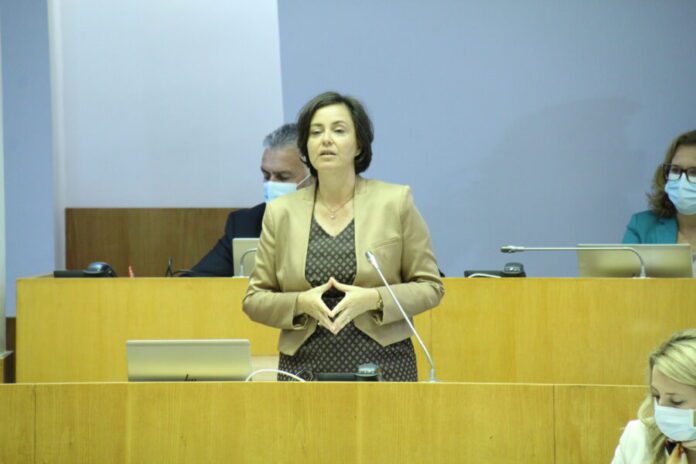 Deputada Ana Luisa Luis