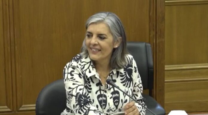 Isabel Almeida Rodrigues eleita coordenadora do GPPS na Comissão de Assuntos Constitucionais