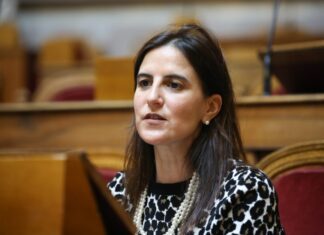 Lara Martinho defende reforço do investimento nos serviços consulares
