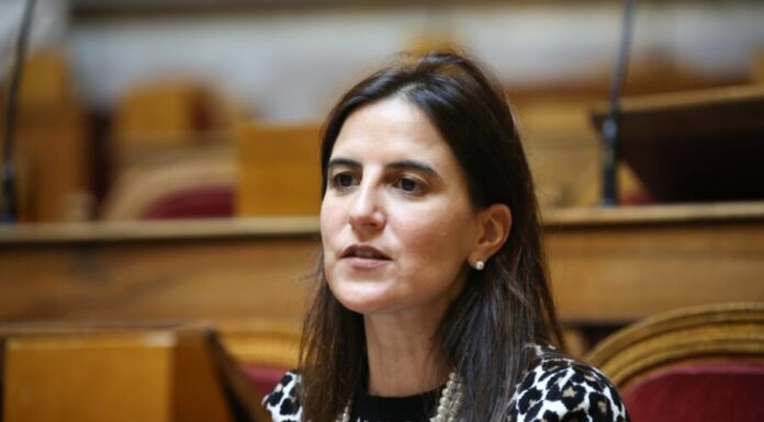 Lara Martinho defende reforço do investimento nos serviços consulares