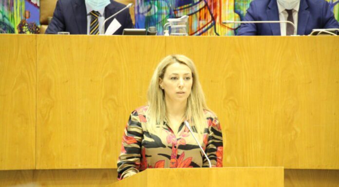 PS/Açores propõe alterações ao SOLENERGE que permitem às famílias e empresas adquirir painéis fotovoltaicos sem adiantar capital de investimento