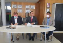 Plano de 2022 com aposta na bovinicultura da carne dos Açores e na rede regional de abate