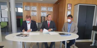 Plano de 2022 com aposta na bovinicultura da carne dos Açores e na rede regional de abate