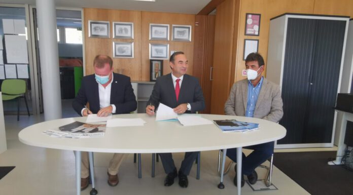 Plano de 2022 com aposta na bovinicultura da carne dos Açores e na rede regional de abate