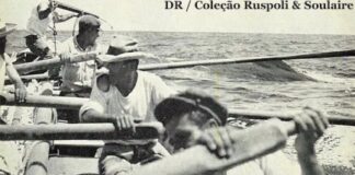 O homem sonha e recolhe história