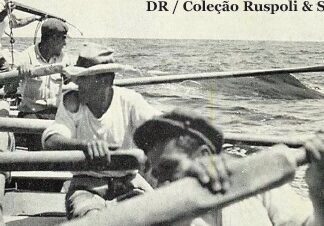 O homem sonha e recolhe história