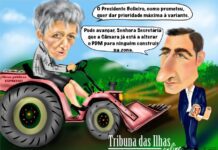 Cartoon semanal, 29 de outubro