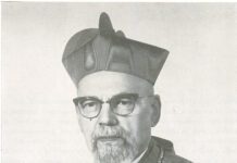 D. José, o Bispo Maior…