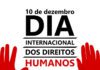Museu da Horta assinala Dia Internacional dos Direitos Humanos