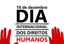 Museu da Horta assinala Dia Internacional dos Direitos Humanos