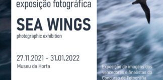Museu da Horta acolhe exposição “Asas do Mar/Sea Wings”