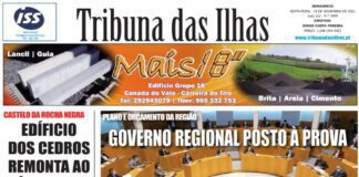 Capa edição n.º 1004, 19 de novembro