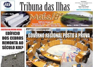Capa edição n.º 1004, 19 de novembro
