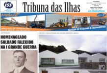 Capa edição nº. 1003, 12 de novembro