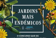Secretaria Regional do Ambiente cria apoio para valorização dos alojamentos que adotam boas práticas ambientais