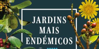 Secretaria Regional do Ambiente cria apoio para valorização dos alojamentos que adotam boas práticas ambientais