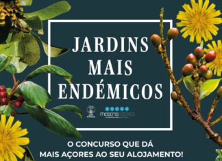 Secretaria Regional do Ambiente cria apoio para valorização dos alojamentos que adotam boas práticas ambientais
