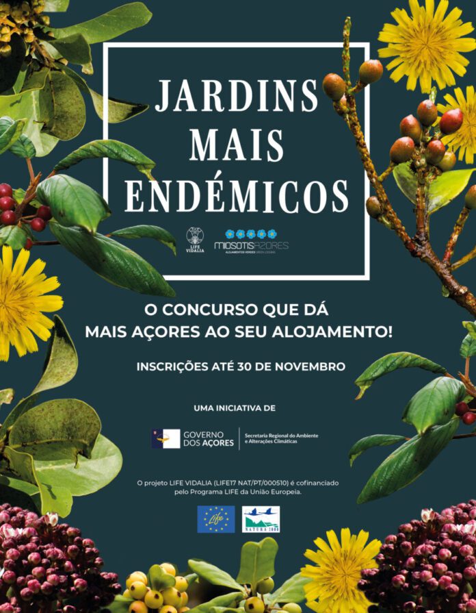 concurso