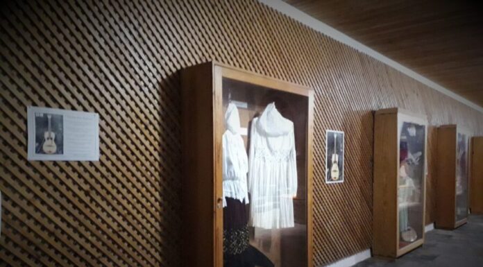 Exposição “Violas dos Açores” encerra Temporada de Violas da Terra 2021