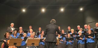Notas de Natal inspiram época festiva