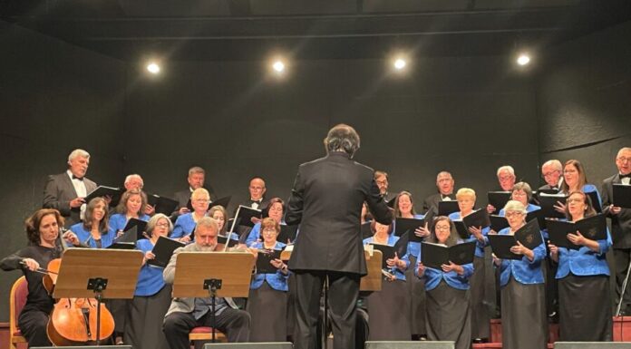 Notas de Natal inspiram época festiva