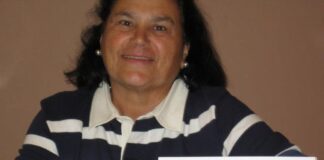 Isaura Rodrigues sugere Tronco de Natal