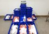 Apreendidos 300 quilos de pescado em São Miguel