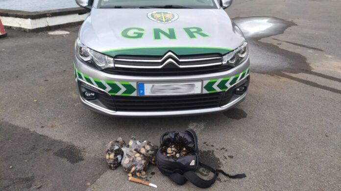 GNR Açores - Apreensão de lapas
