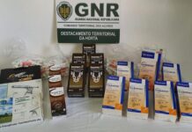 Apreendidos medicamentos veterinários no Faial, Pico e São Jorge