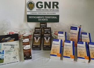 Apreendidos medicamentos veterinários no Faial, Pico e São Jorge