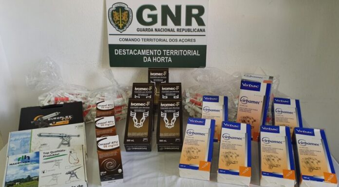 Apreendidos medicamentos veterinários no Faial, Pico e São Jorge