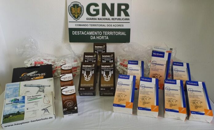 GNR Açores - Apreensão1