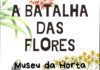 Faial – Secretaria Regional da Cultura, da Ciência e Transição Digital dinamiza oficina de Carnaval intitulada “A Batalha das Flores”