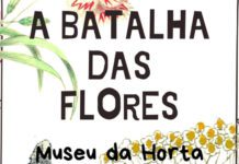 Faial – Secretaria Regional da Cultura, da Ciência e Transição Digital dinamiza oficina de Carnaval intitulada “A Batalha das Flores”