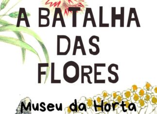Faial – Secretaria Regional da Cultura, da Ciência e Transição Digital dinamiza oficina de Carnaval intitulada “A Batalha das Flores”